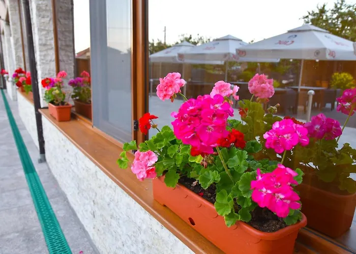 Hotels in Sulina