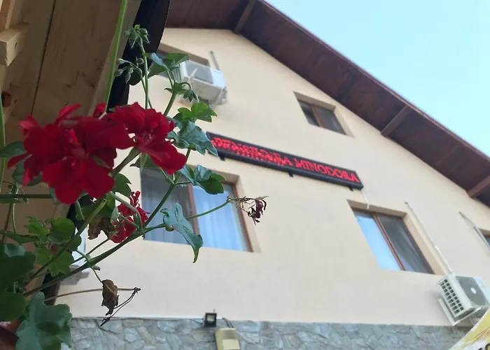 Pensiunea Minodora Polovragi