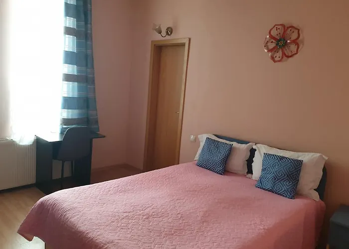 Pensiunea Vila Dana Cluj-Napoca