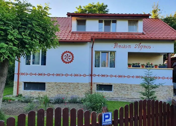 Pension Agnes Vişeu de Sus