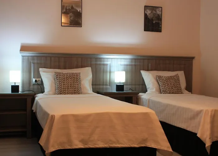 Silva House Hotel Deva