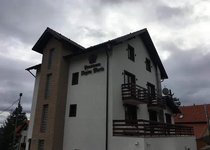 Pensiunea Regina Maria Păltiniş