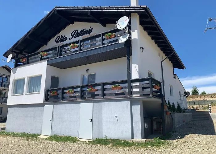 Vila Păltiniş