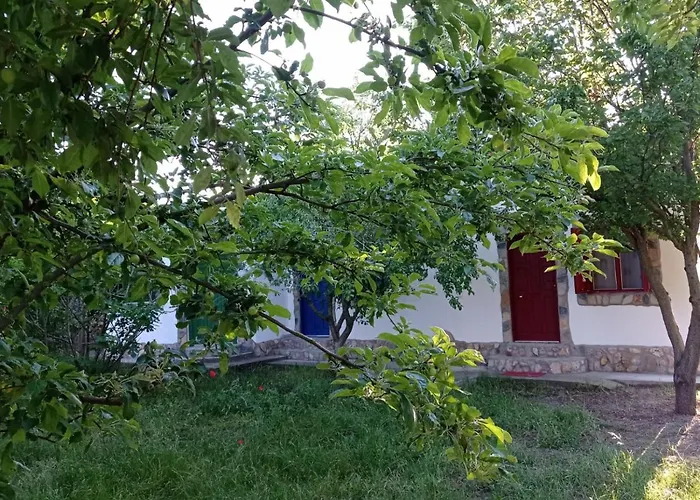 La Actoru` Hotel Vama Veche