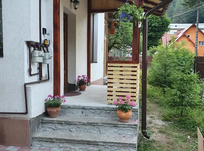 Holiday House Buşteni