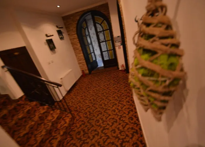 Gala - Guesthouse Oradea