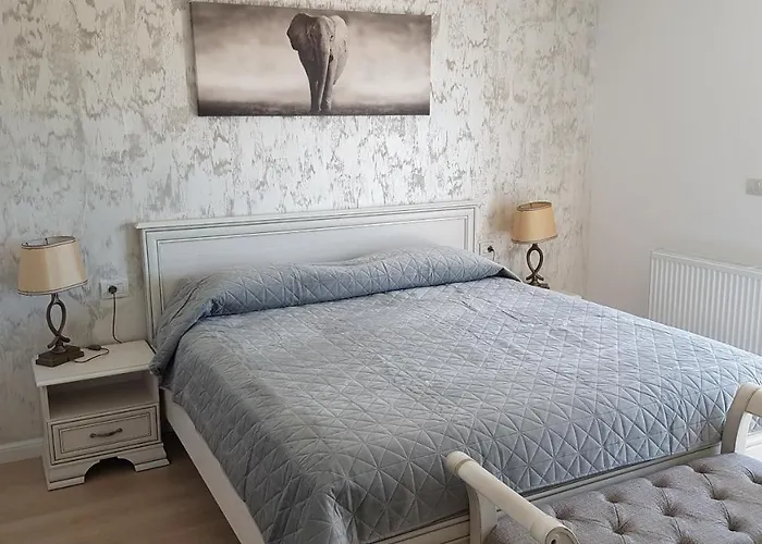 Casa Magnolia Hotel Douăzeci şi Trei August