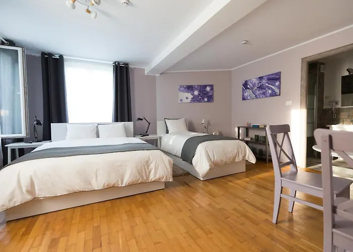 Casa Ris Hotel Târgu Jiu