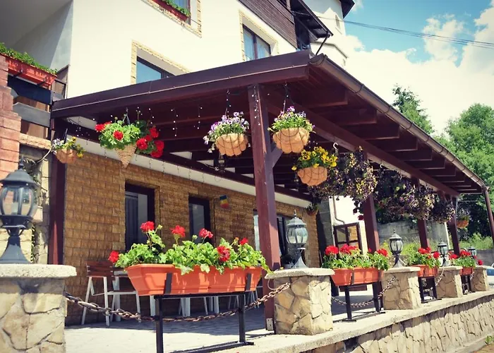 Vila Simina Hotel Vatra Dornei