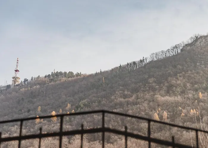 Albert Residence Brasov With Complimentary Parking Off Site