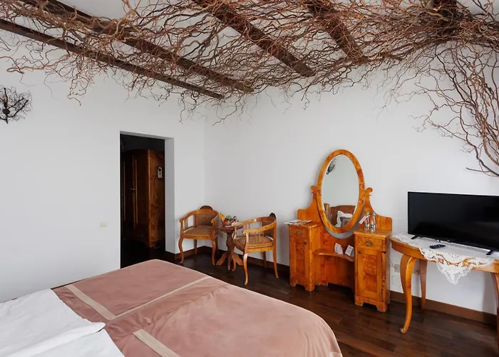 Conacul Archia Hotel Deva