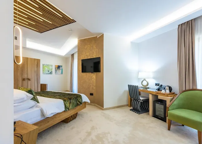 Hotel Ivascu Moisei