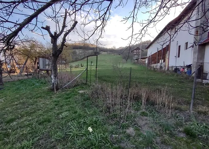 Pensiunea Ghiță Vasile Vadu Izei