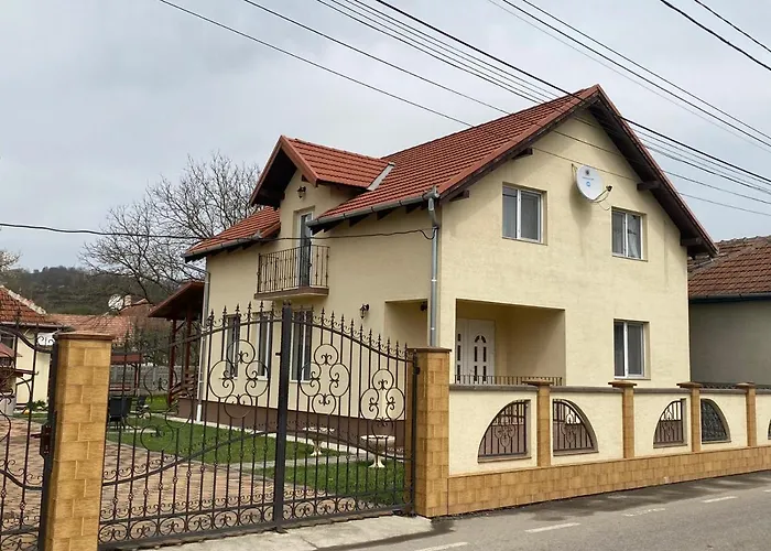 Casa Neluta Hotel Haţeg