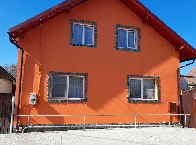 Casa Alex Hotel Cîrţişoara