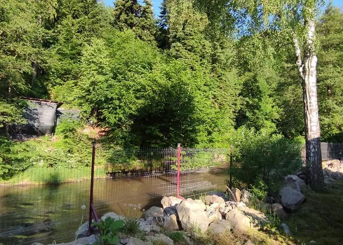 Olt-Part Vendeghaz Hotel BaileTusnad