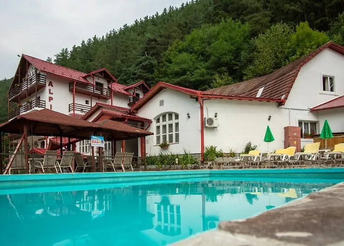 Pensiunea Alpin Păltiniş