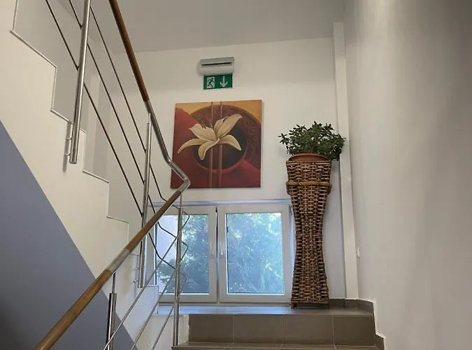 Ametist Casa Leului Hotel Năvodari