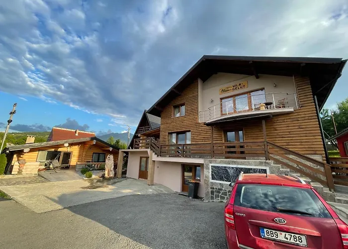 Vila Deluț Borşa