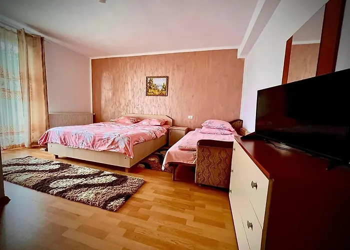 Casa Viorica Hotel Borşa