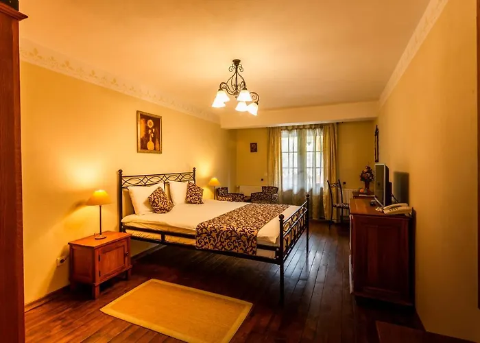 Hotel Turnul Moieciu de Jos