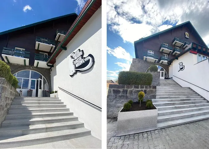 Vila Ursul Negru Sovata