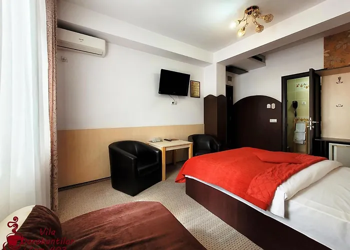 Vila Dorobantilor Cluj-Napoca