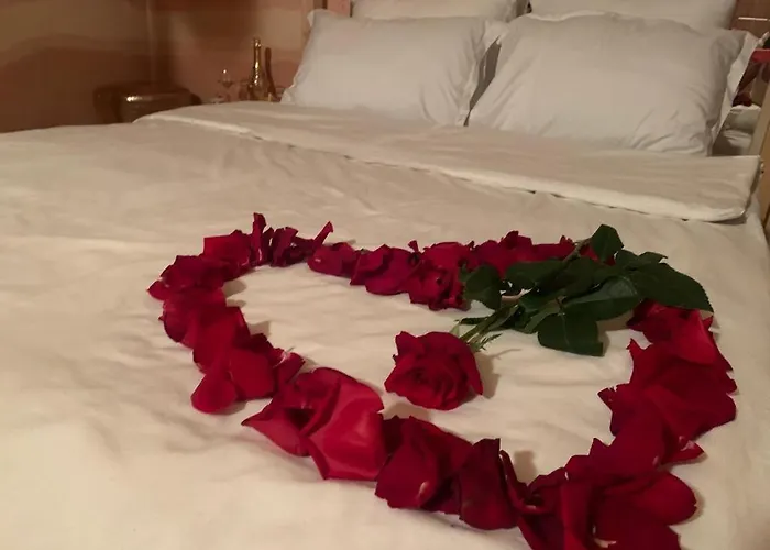 Hoteles que admiten Mascotas en Transilvania