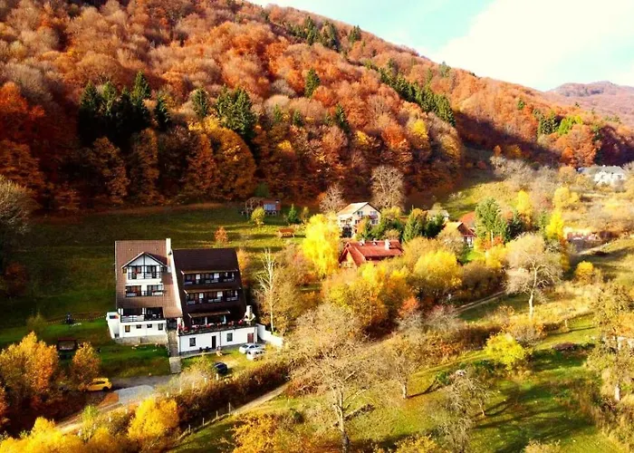 Pensiunea Ursuleț Bran Bran 