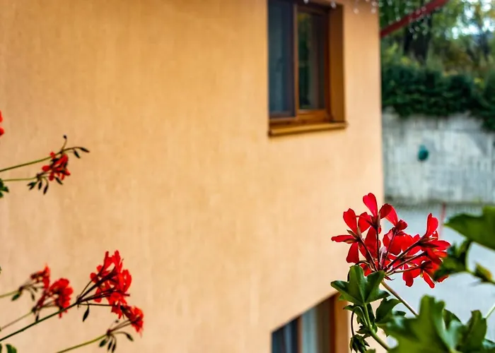 Casa Tofi Vendeghaz Aparthotel Praid