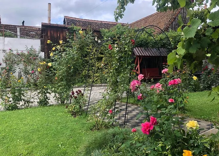 Pensiunea Flori Sibiel Hotel