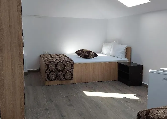 Ionela Hotel Costineşti