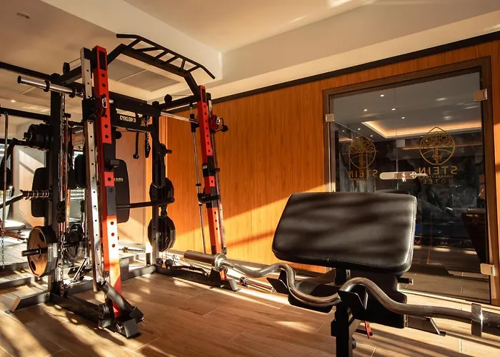 Hotel Stein Collection Dumbravita 