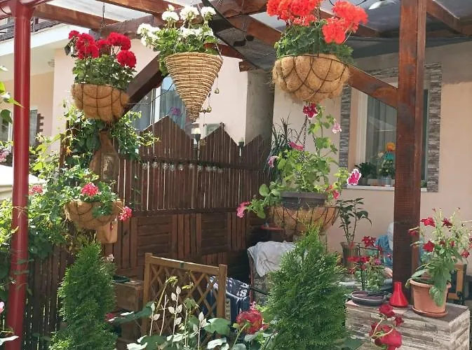 Casa Puiu Hotel Slănic Moldova
