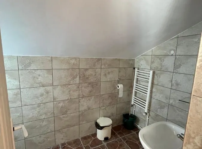 Pensiunea Casa Ana Agapia