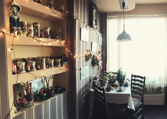 Vila Monica Bed and Breakfast Târgu-Mureş