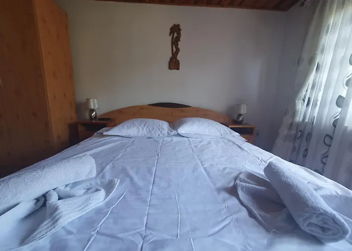 Casa Flavius 2 Hotel Bran 