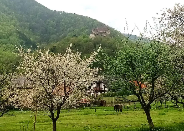 Elimheim Bed & Breakfast Cisnădioara