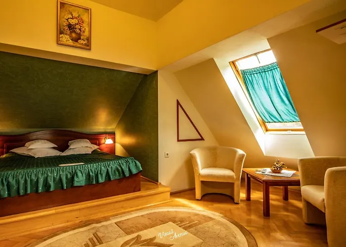 Pensiunea Serena Cluj-Napoca