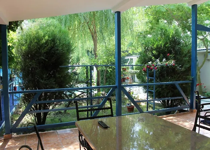 Hotel Vila Alex Costineşti