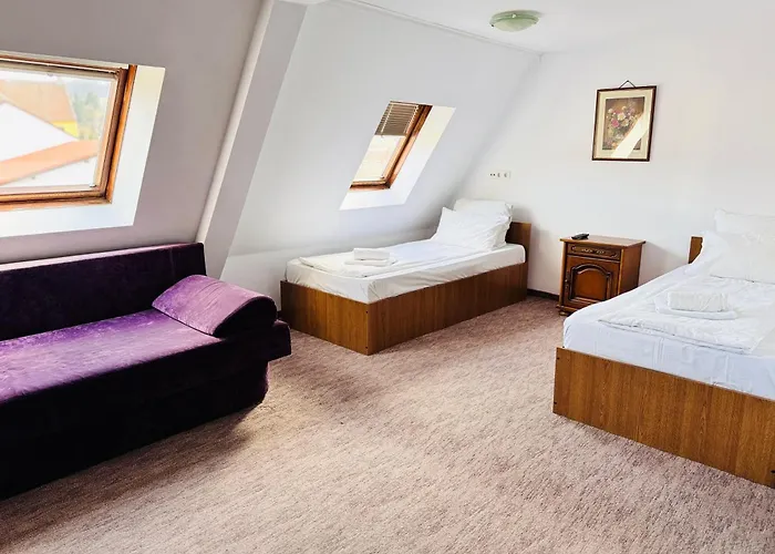 Hoteles en Mediaş