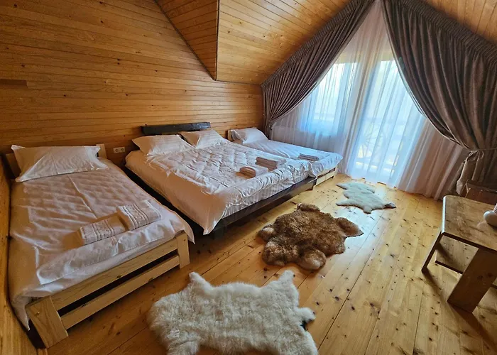 Pensiunea Ana Maria Durău