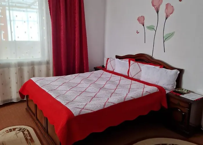 Flori de Bucovina Hotel Pojorâta