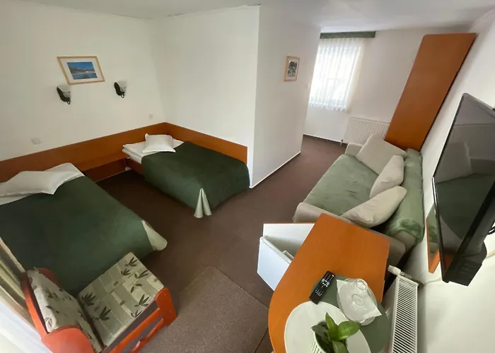 Pensiunea Olt Centrum Olt Centrum Panzio Bed & Breakfast BaileTusnad