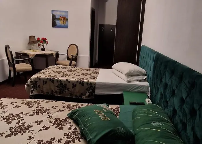 Pensiunea Toma Ploieşti