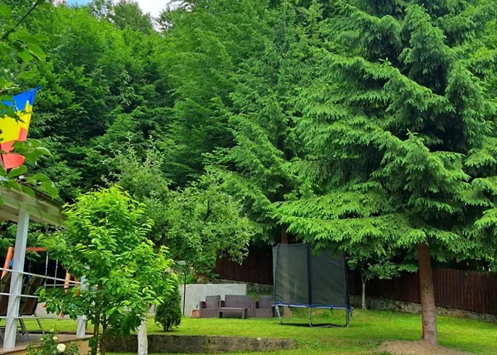 Casa Aris Lepsa Vrancea Hotel