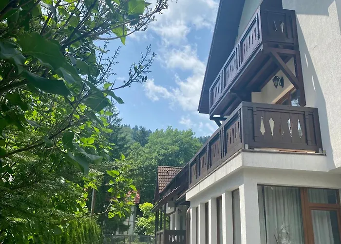 Boga Rooms Sinaia