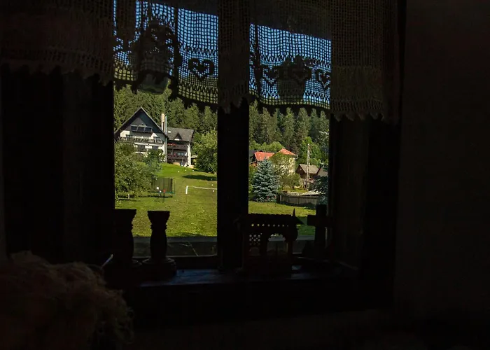Bucovina Lodge Pension Vama 