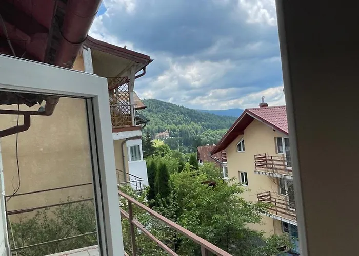 Constantinescu A. Hotel Buşteni