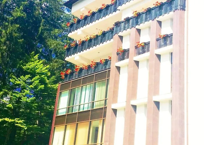 Hotel Hart Predeal